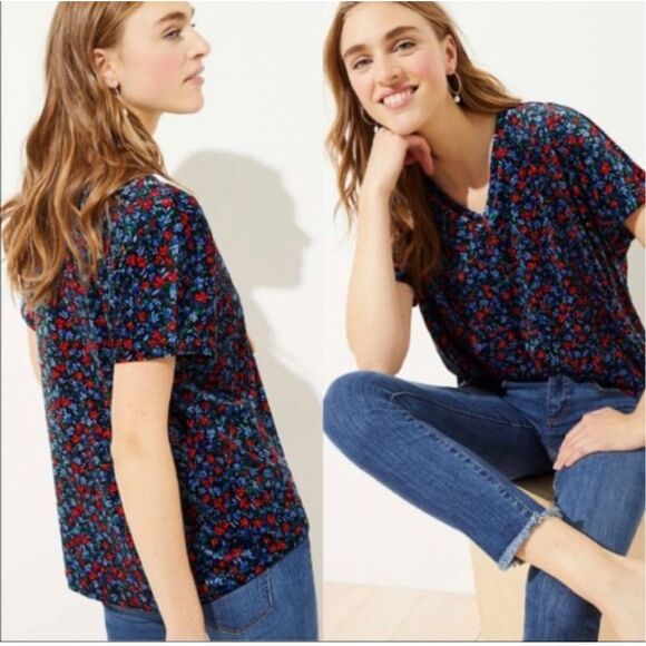 Loft Floral Velvet Dolman sleeve v- neck top M - Picture 1 of 6